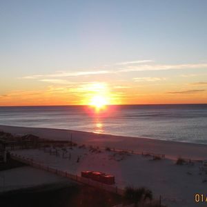 Meet your Posher, W david